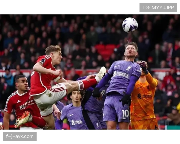 谢联重返英超：英冠冠军强势回归，顶级联赛表现引期待