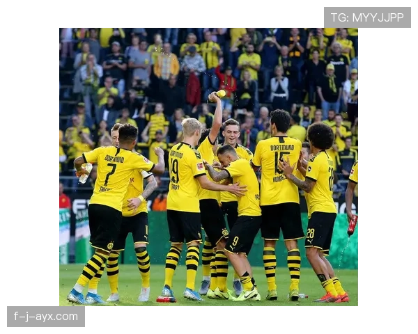 多特蒙德争冠稳定性不足问题显现,对赛季走势形成制约 多特蒙德争冠稳定性不足问题显现,对赛季走势形成制约